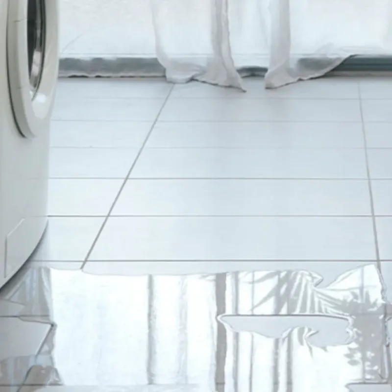 Appliance Leak Cleanup in Lecanto, FL